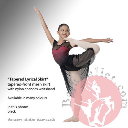 Tapered Lyrical Mesh Skirt Product Image 2