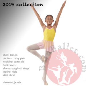 2019 Collection L31ac